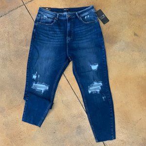 Women's Plus Distressed High Rise Slim Fit Jeans